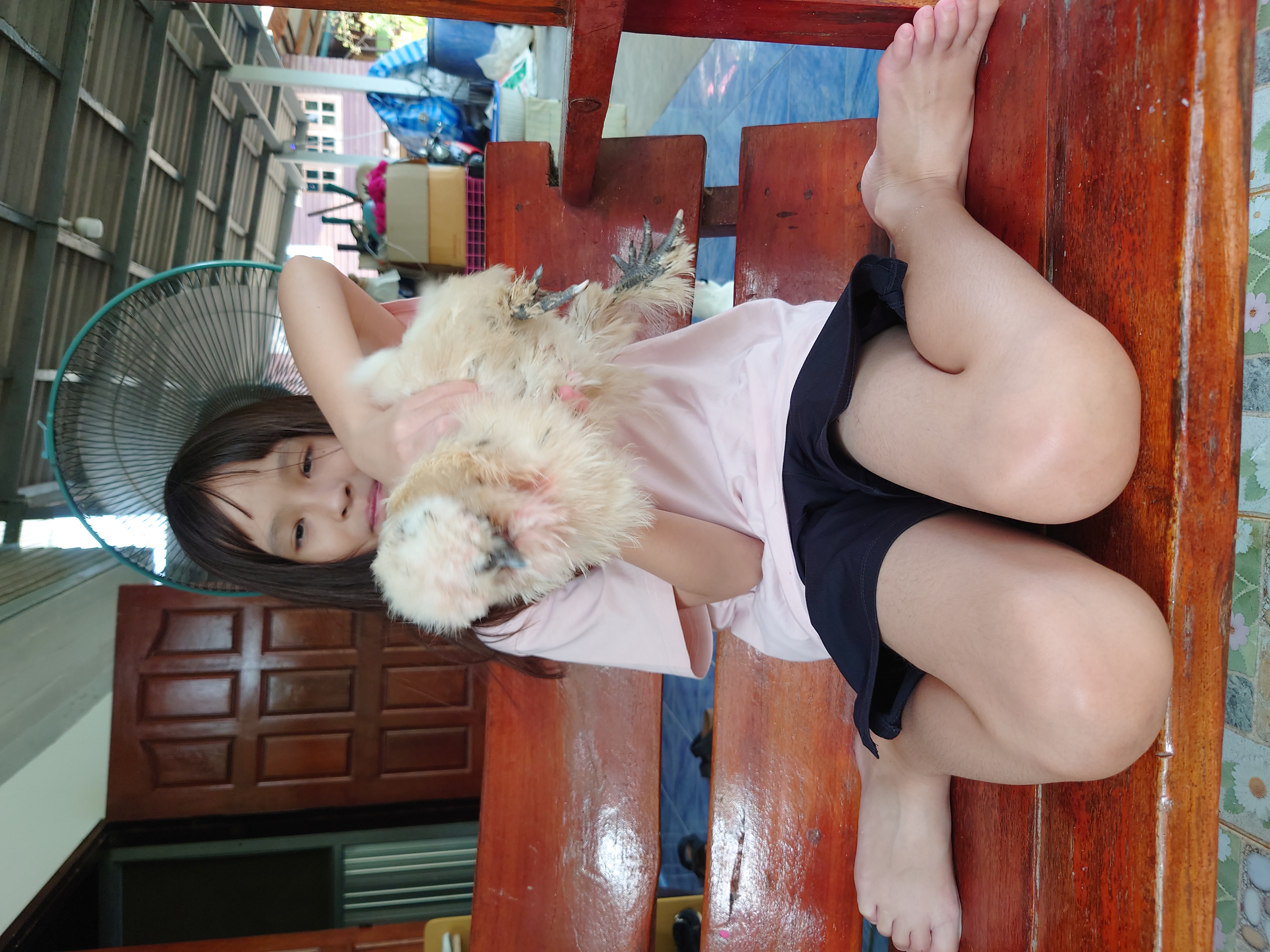 วันทำความสะอาดไก่