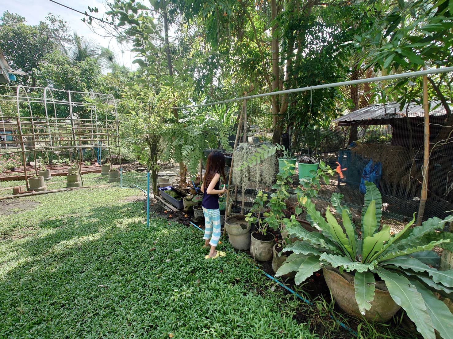 สำรวจธรรมชาติรอบบ้าน