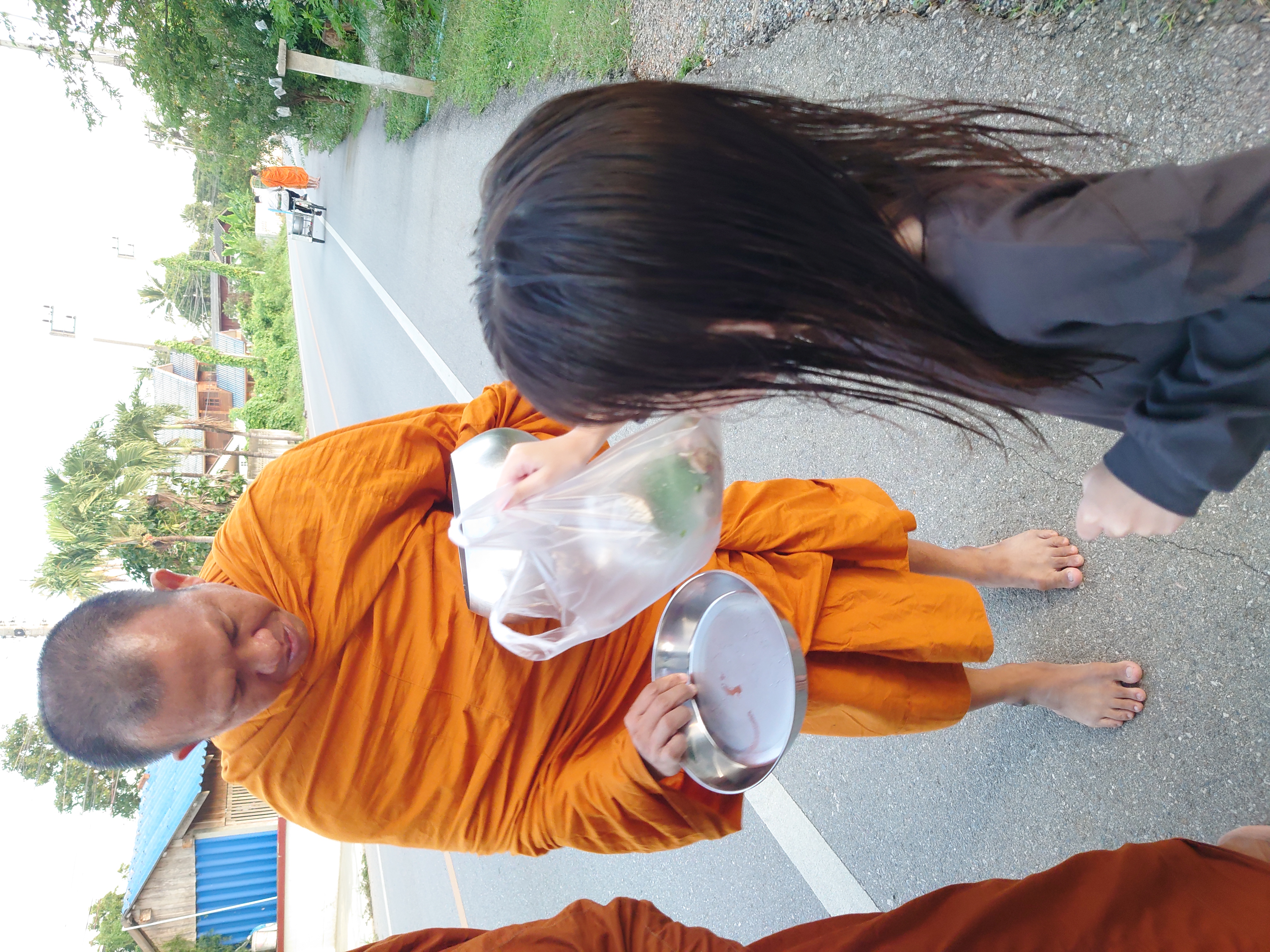 ใส่บาตร และดูและไก่