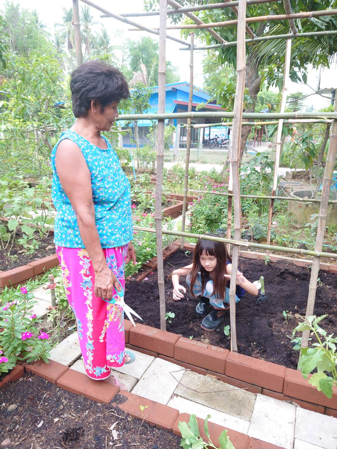 ปลูกผักกับคุณยาย