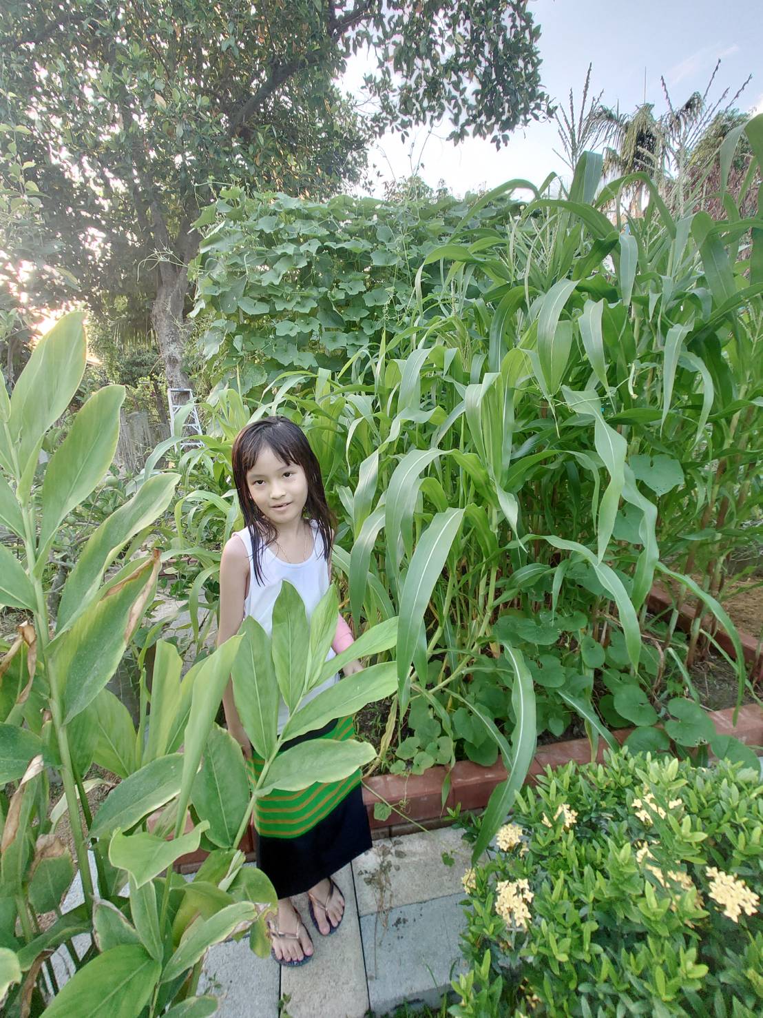ใส่บาตรและชมสวน