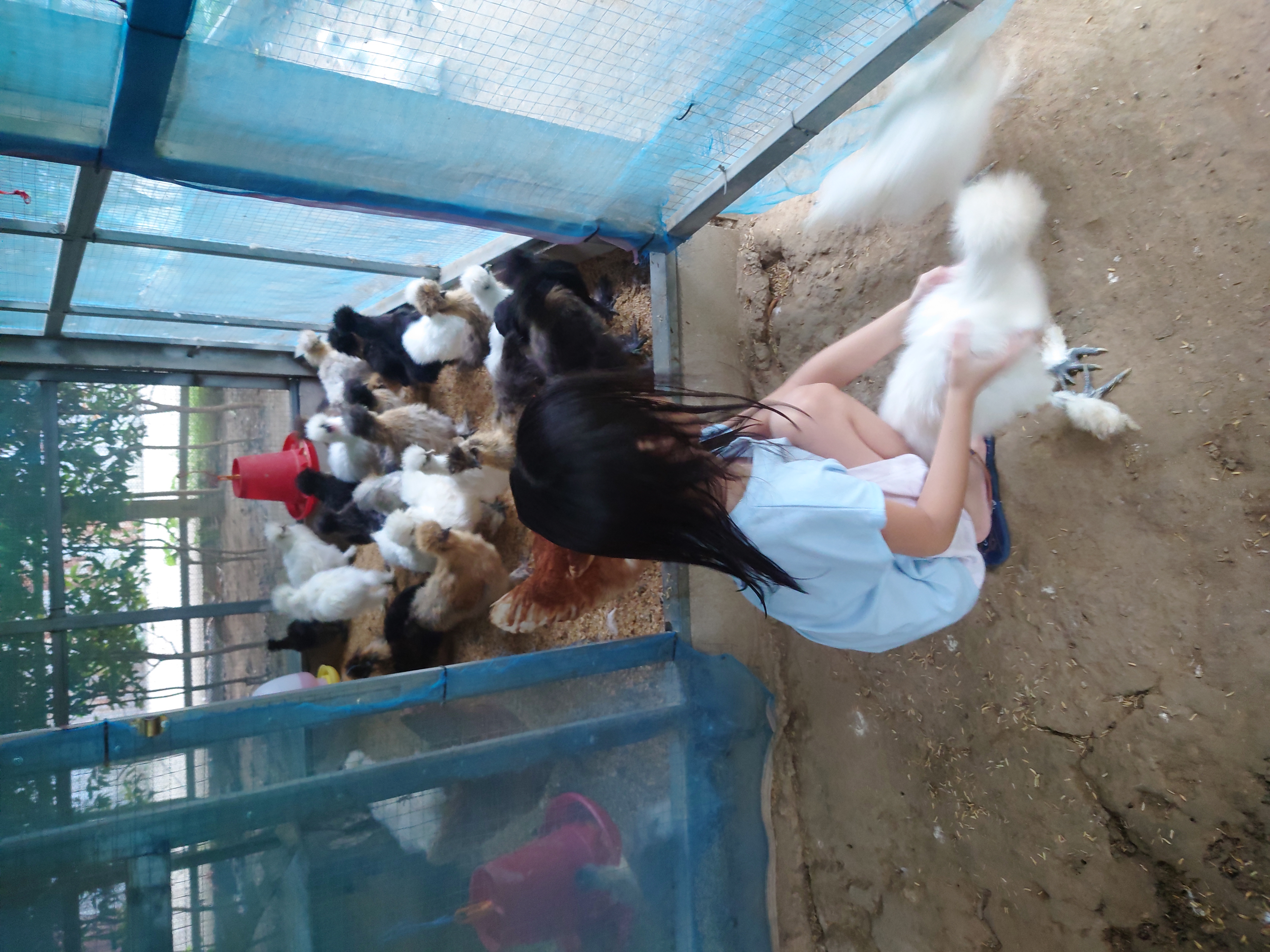 กิจกรรมยามเช้า