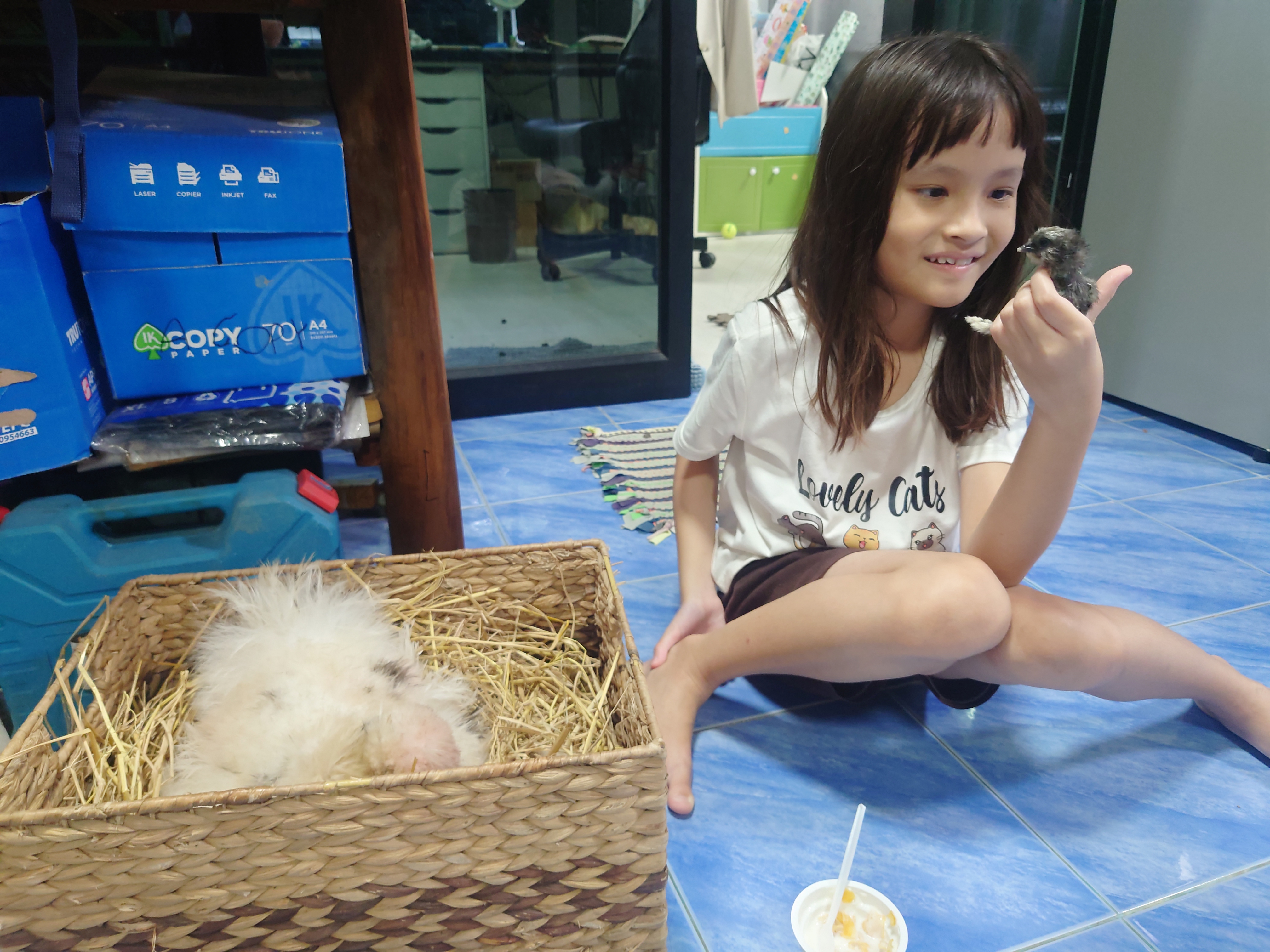 ลูกเจี๊ยบฟักเพิ่มอีกแล้ว