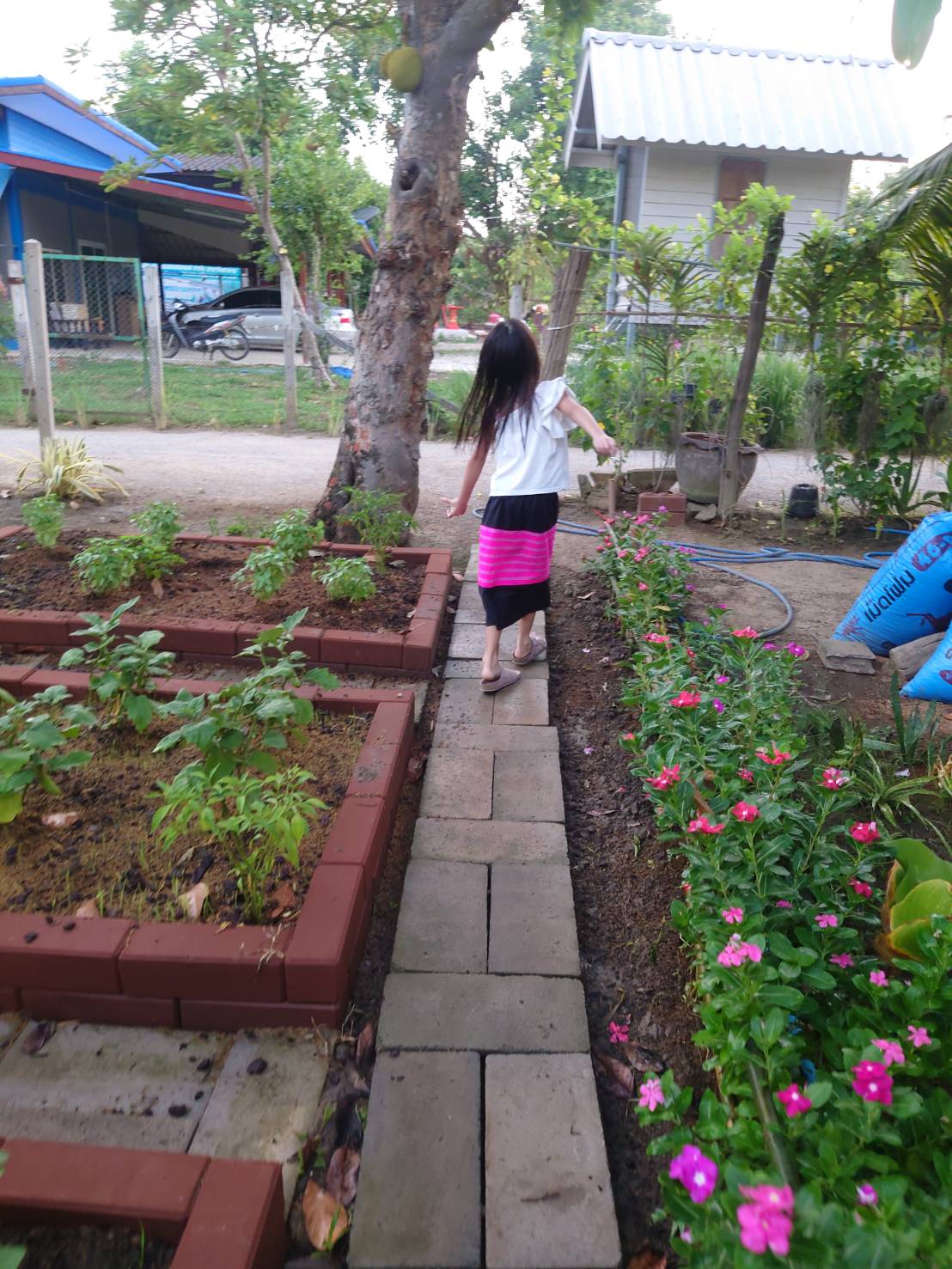 ใส่บาตรและสวนดอกไม้
