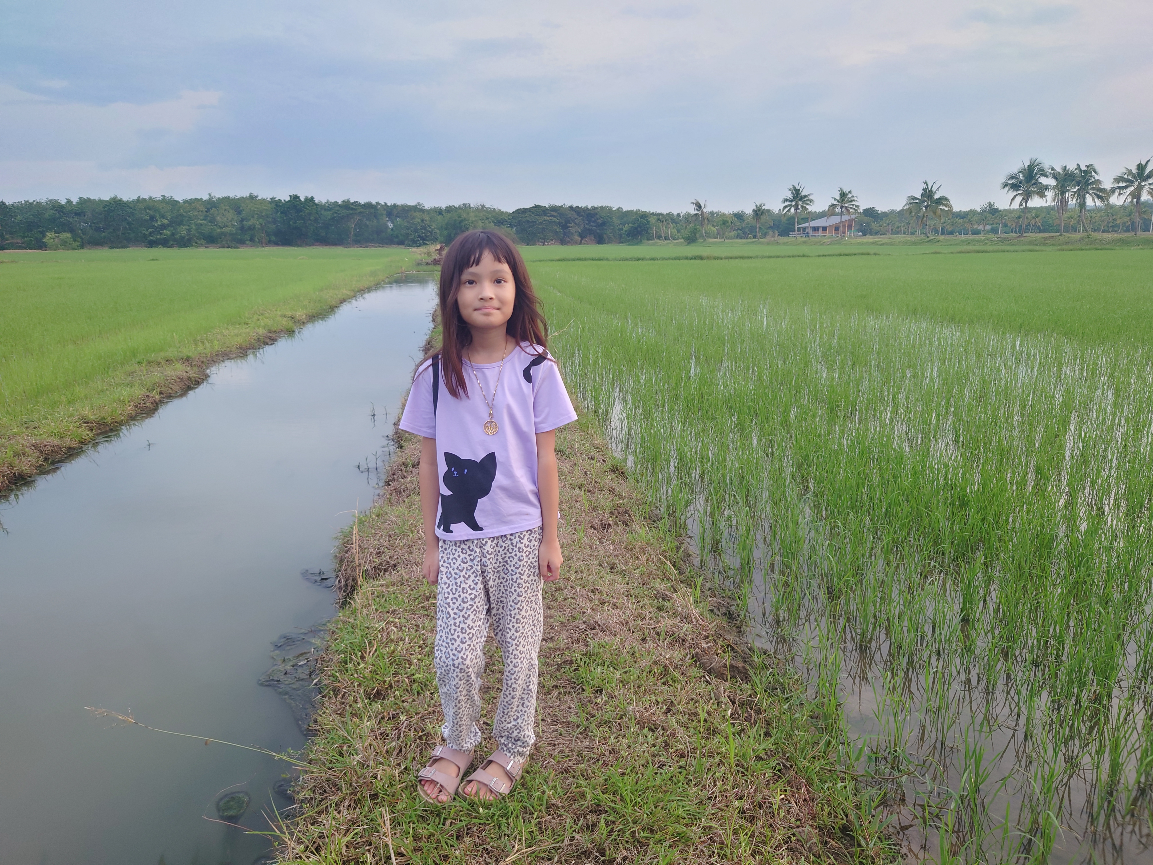 สำรวจนาข้าว