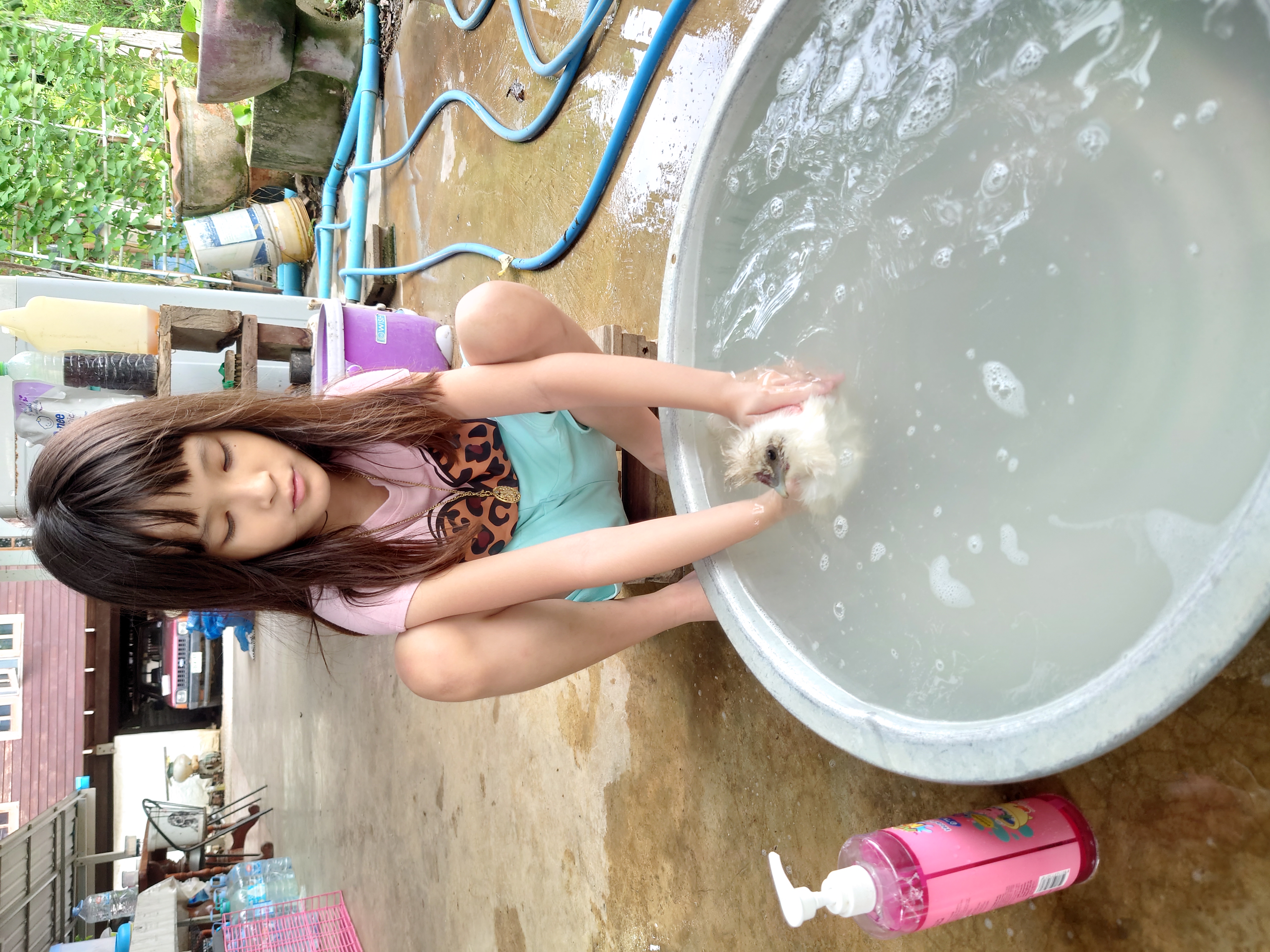อาบน้ำไก่