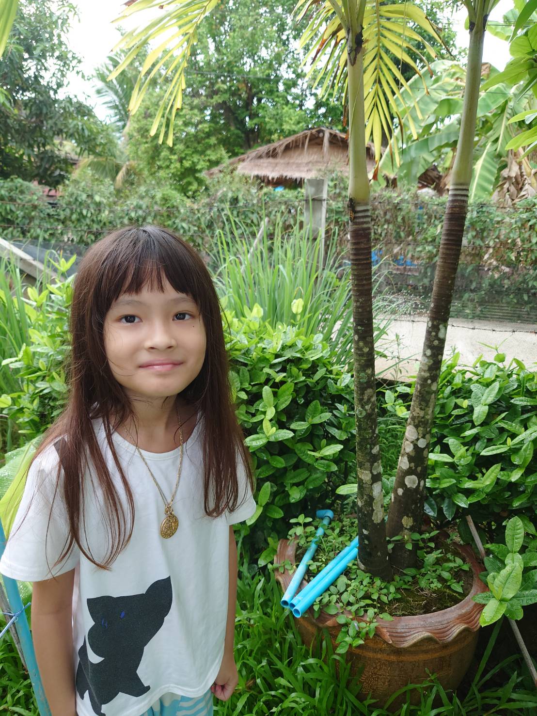 ผีเสื้อกลางคืน