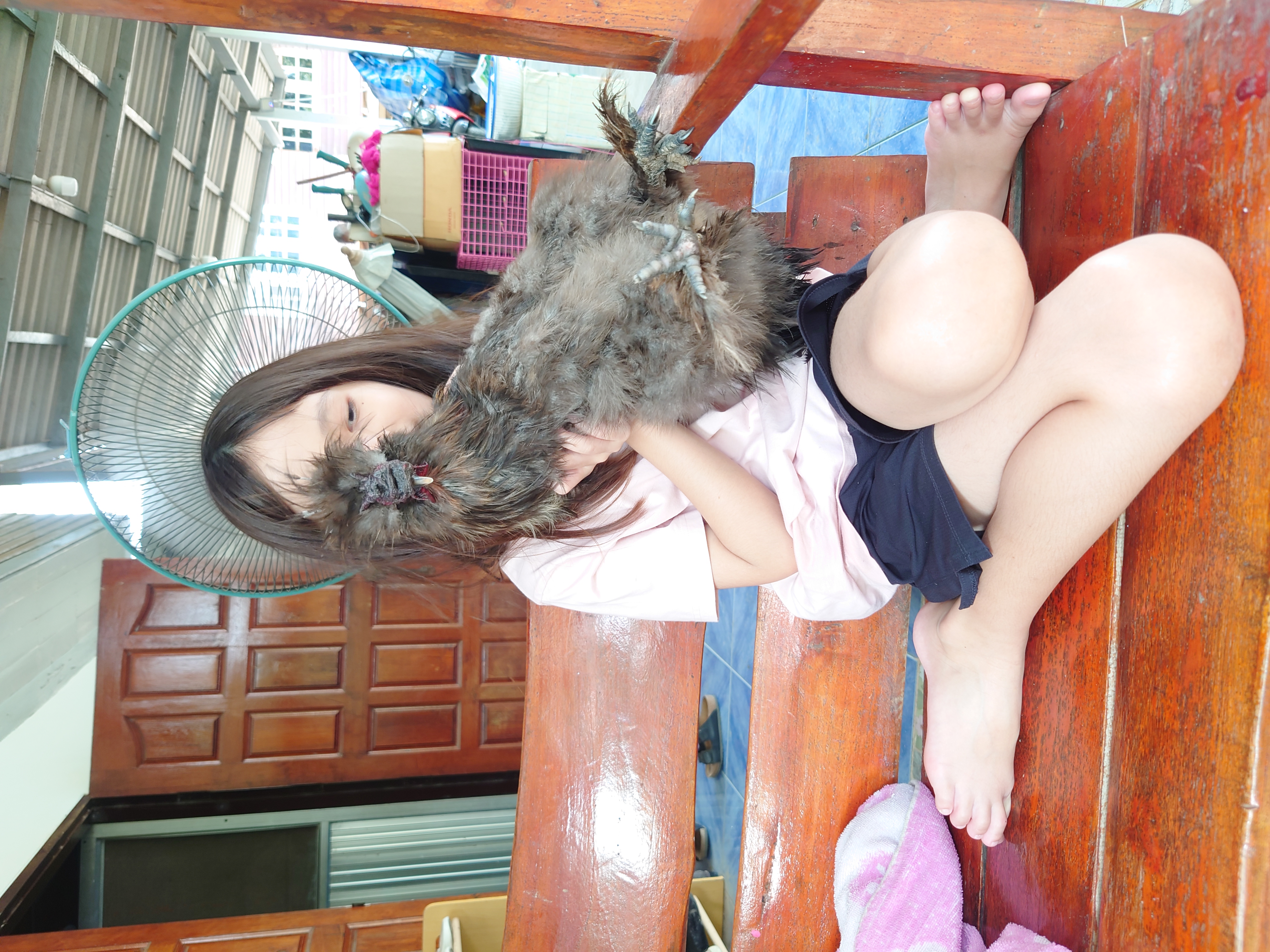 วันทำความสะอาดไก่