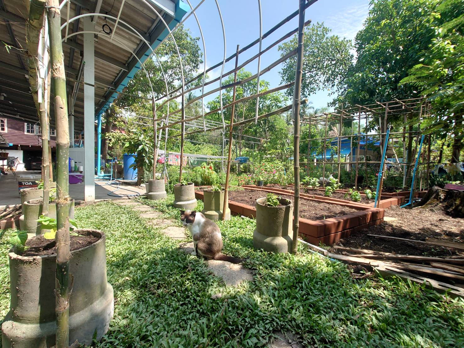 สำรวจธรรมชาติรอบบ้าน
