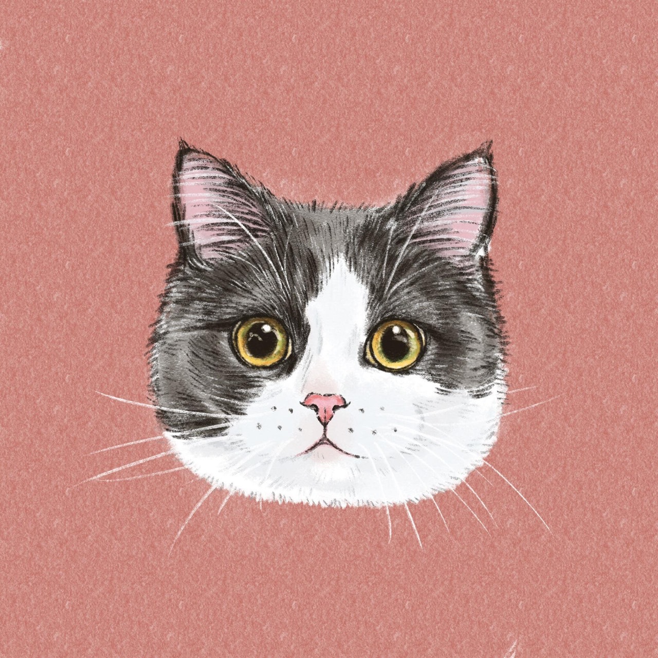 Test2